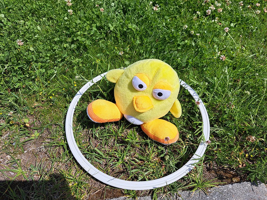 kinder_bewegen (5)