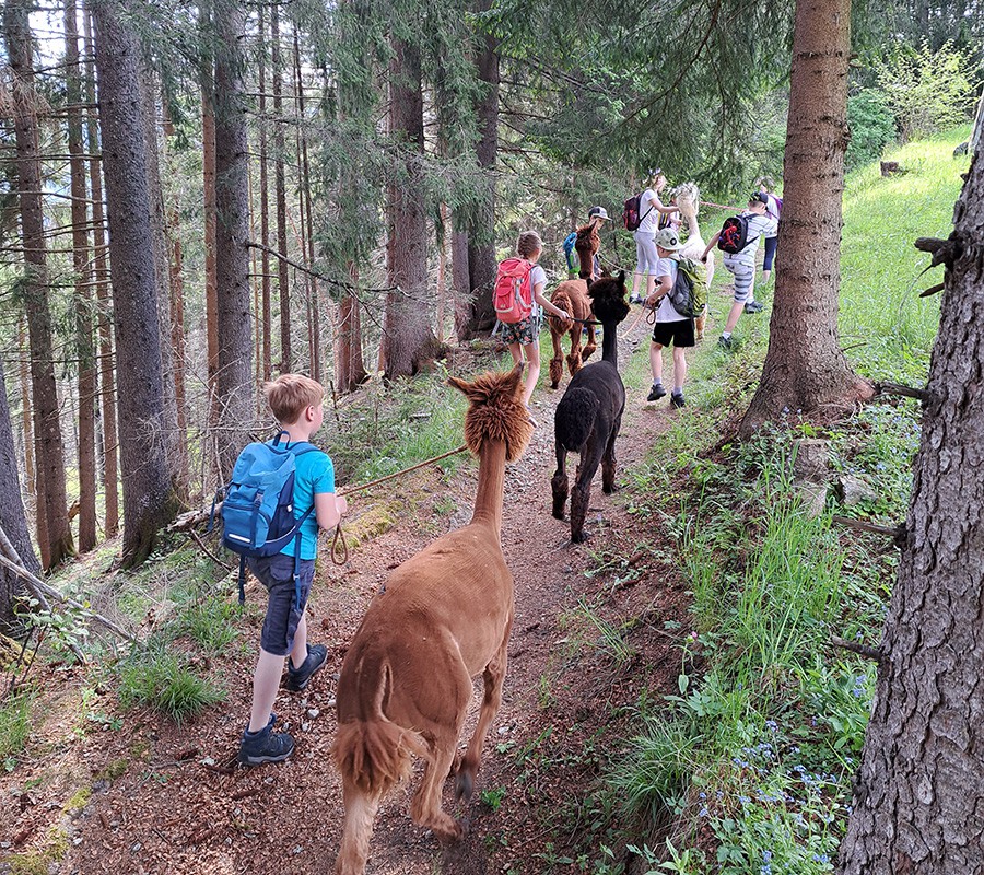 Kinderturnen_ (5)