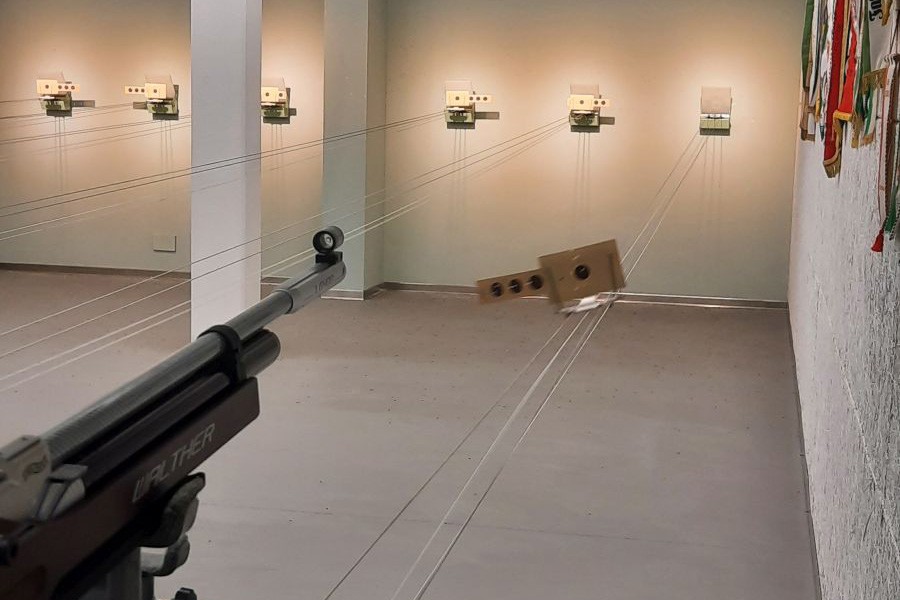 zimmergewehr_ (5)